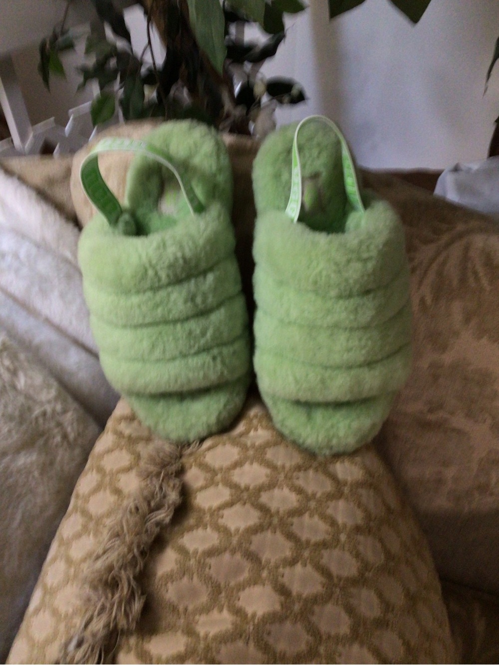 UGG - Picture 4 of 10